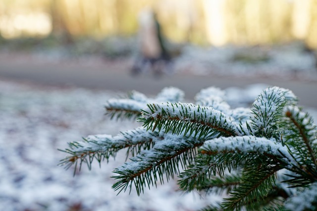 Die Chancen auf wei&szlig;e Weihnachte... Zeit zunehmend gesunken. (Archivbild)  | Foto: Uwe Anspach/dpa