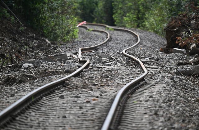 Die Gleise an der Ungl&uuml;cksstelle ... komplett ersetzt werden. (Archivbild)  | Foto: Bernd Wei&szlig;brod/dpa