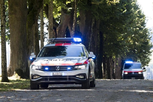 Die Kantonspolizei Baselland meldet einen tdlichen Verkehrsunfall (Symbolfoto).  | Foto: Polizei BL