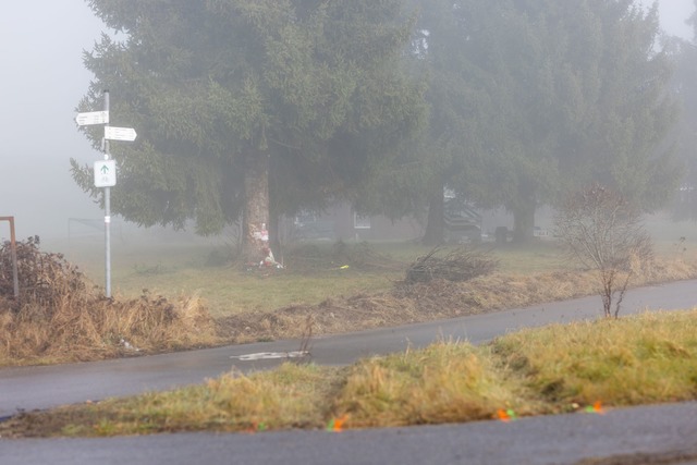 Am Unfallort wurden Kerzen aufgestellt. (Archivbild)  | Foto: Philipp von Ditfurth/dpa