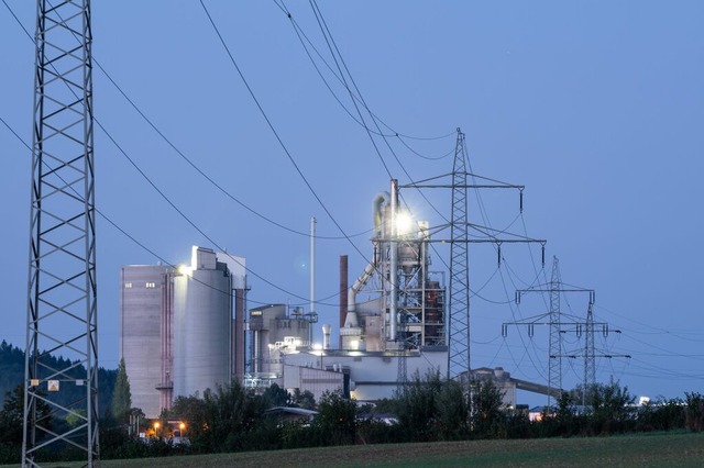 Die Industrie im Land befindet sich in einer schwierigen Lage.  | Foto: Silas Stein (dpa)