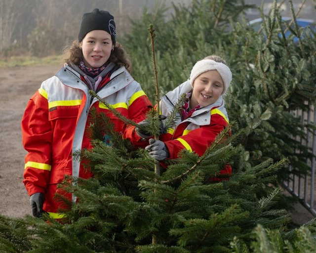 Weihnachtsbaumverkauf beim DRK-Ortsverein Titisee-Neustadt | Foto: Wolfgang Scheu Weihnachtsbaumverkauf beim DRK-Ortsverein Titisee-Neustadt | Foto: Wolfgang Scheu