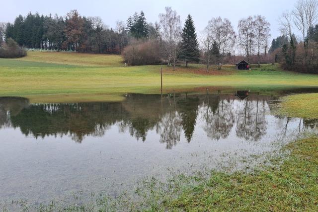 Der Eichener See ist wieder da