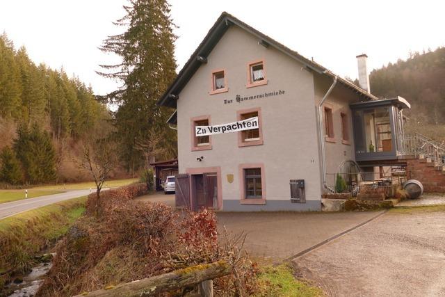 Baulichen Vernderungen an der Hammerschmiede stimmt der Kenzinger Rat zu