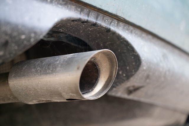 Experten bezweifeln, dass deutsche Her...rbrenner-Aus profitieren. (Symbolbild)  | Foto: Sebastian Kahnert/dpa