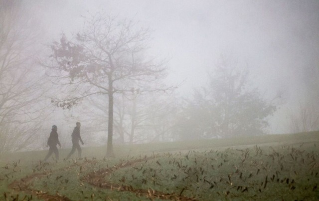 Der Nebel liegt �ber dem Land.  | Foto: Thomas Warnack (dpa)