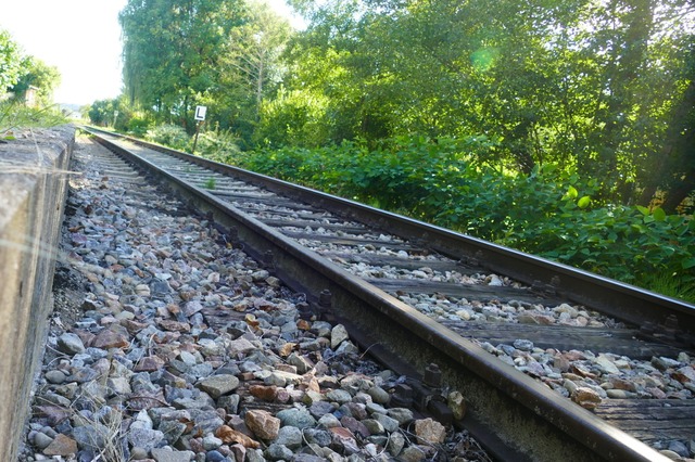 Die Kandertal-S-Bahn beschftigte auch den Ortsverband der Grnen.  | Foto: Paula Khn