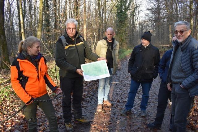 Wie Forst BW in L�rrach im R�ttlerwald Holznutzung, Klimaschutz und Erholungsfunktion verbindet