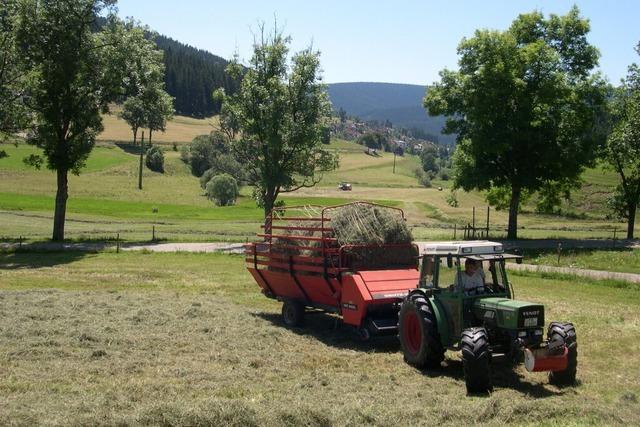 Schulleiter der Landwirtschaftsschule: Gro�er Andrang und steigender Frauenanteil