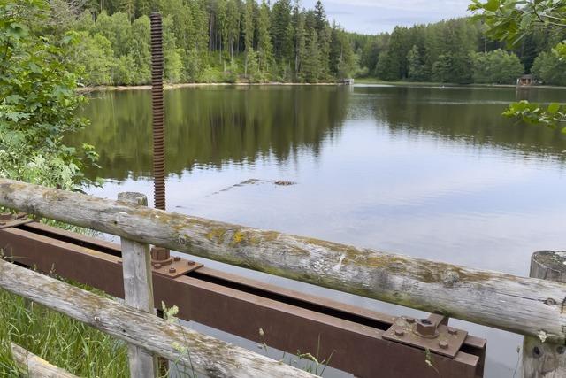 Vom Land kommt eine Millionensumme zur Sanierung des Schl�chtseesdamms bei Grafenhausen