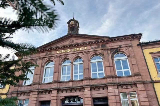 AfD-Antrag zum Personal f�llt im Lahrer Gemeinderat durch und erntet viel Kritik